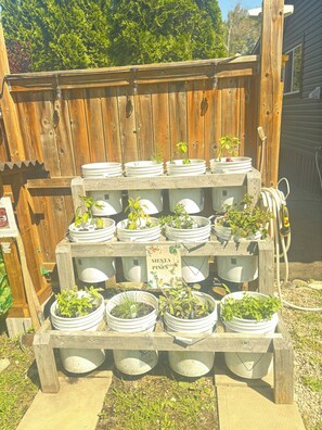 A wooden display stand with multiple white pots containing various plants, set against a wooden fence backdrop. - Siesta Pines Peaceful Retreat (Waubaushene)