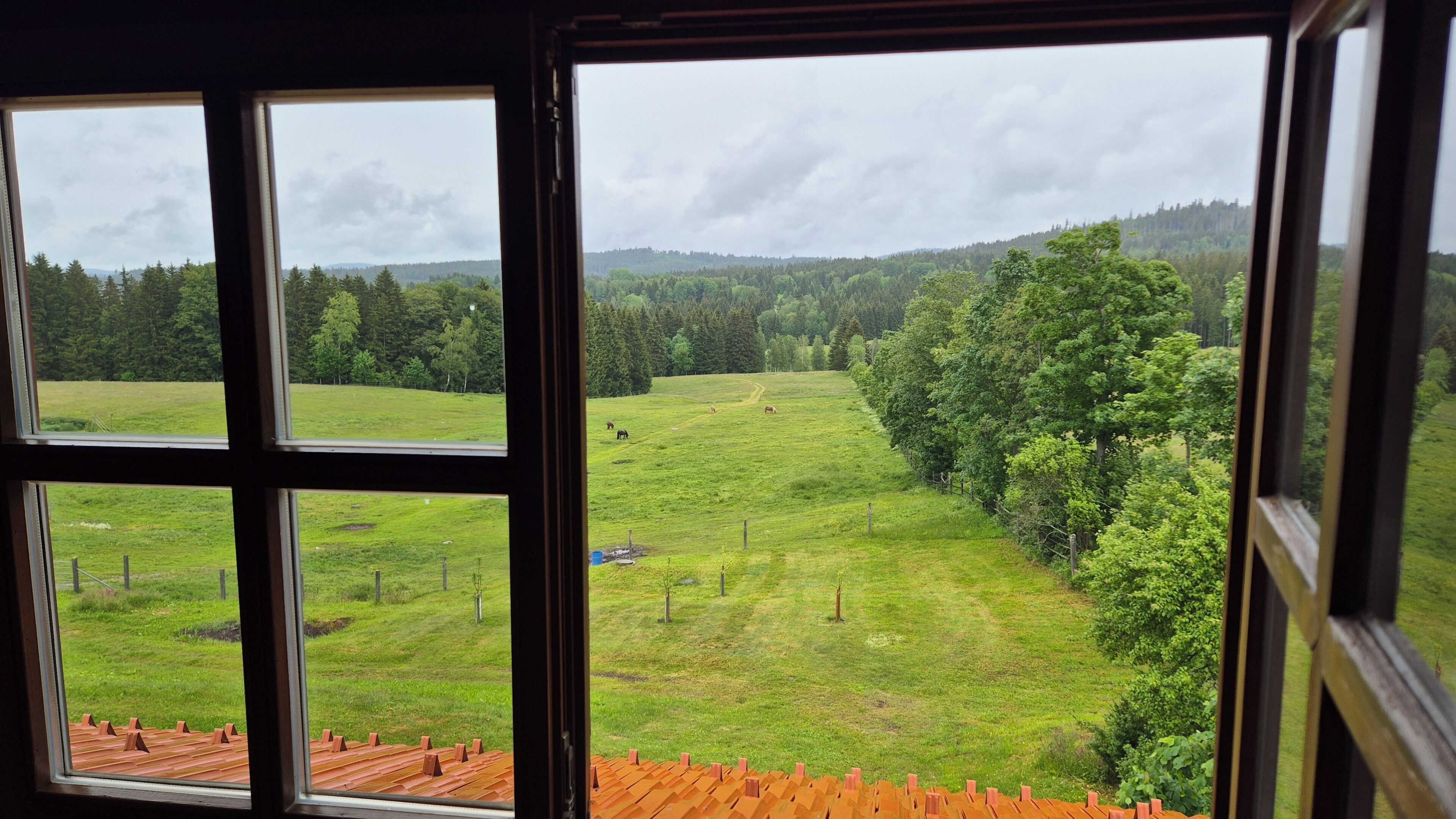 内装. Cozy vacation apartment with a view of the horse pastures