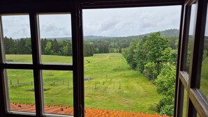 Blick durch ein Fenster, im Vordergrund ein Holenzaun, ein Wiesenfeld und ein bewaldeter Hügel im Hintergrund.