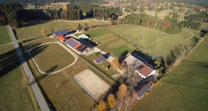 Cozy vacation apartment with a view of the horse pastures