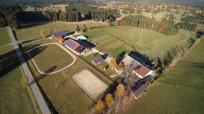 Cozy vacation apartment with a view of the horse pastures