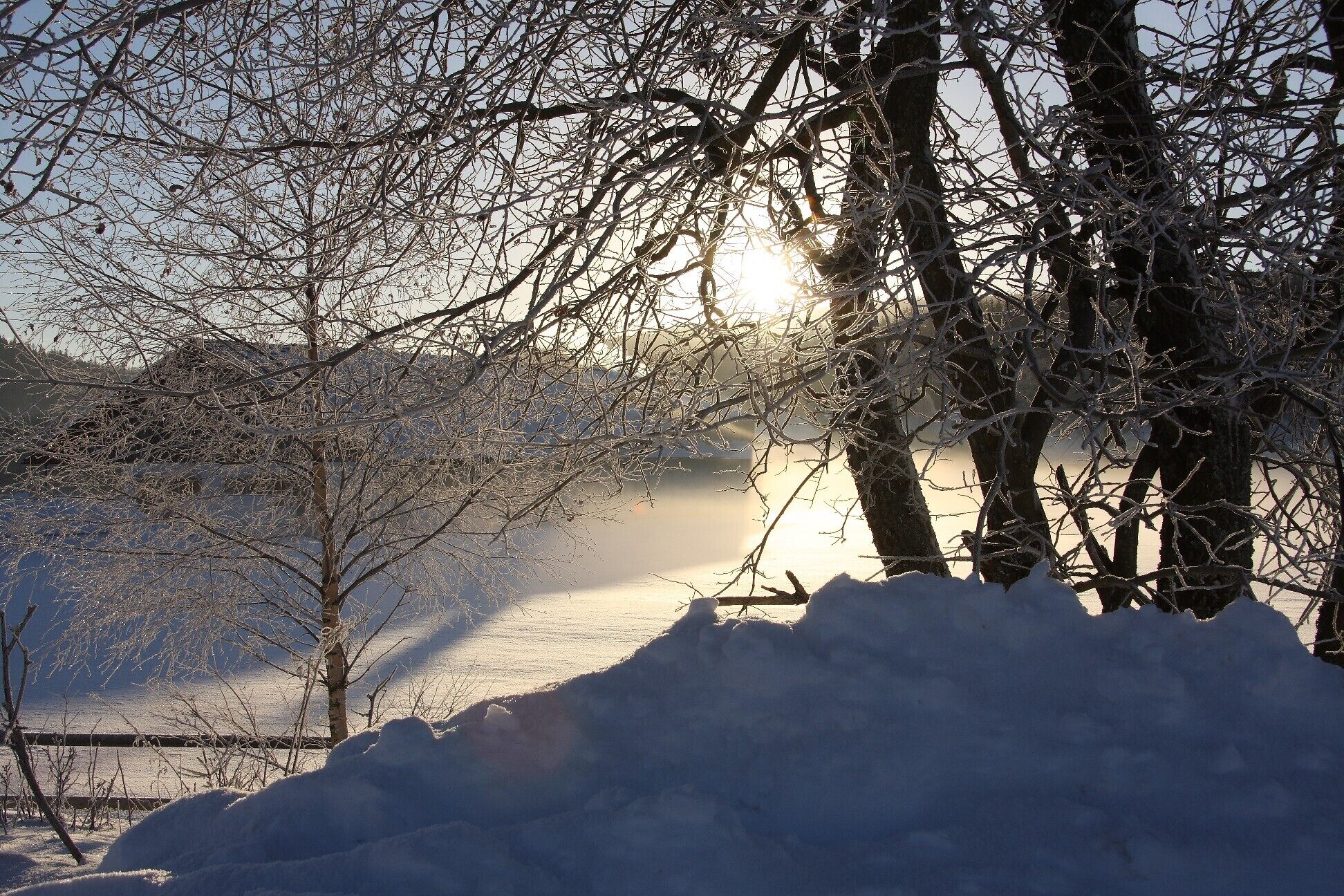 Un paisaje nevado con árboles desnudos y una masa de agua que refleja la luz del sol.