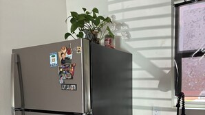 Ruostumattomasta teräksestä valmistettu jääkaappi, jossa on magneetteja, ja sen päällä on ruukussa oleva kasvi, lisäksi keittiössä on graniittitaso ja keittiöallas.