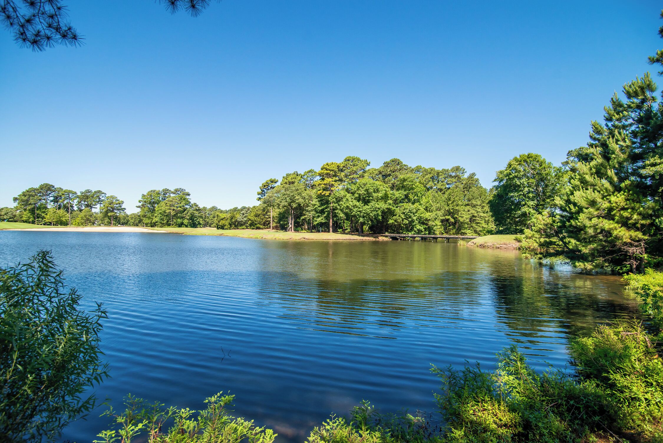 Un lac paisible, entouré d’une forêt dense, sous un ciel dégagé.