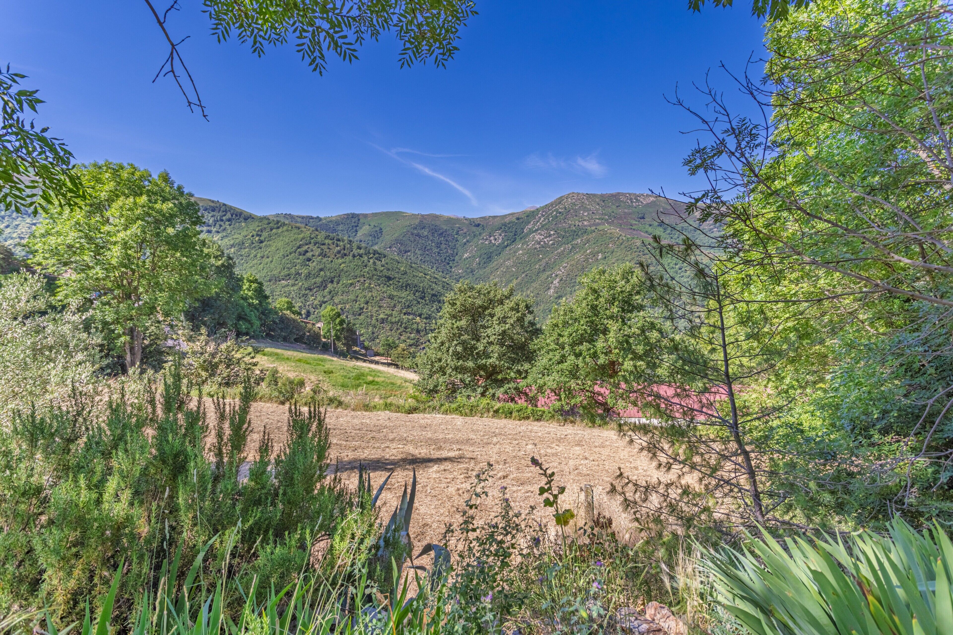 Paisaje rural con montañas, árboles y cielo despejado.
