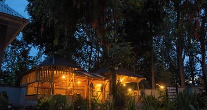 Charming ground floor 2-bedrooms bed & breakfast apartments in vibrant Arusha