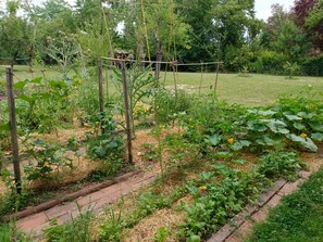 Ein Garten mit erhöhten Beeten, einem hölzernen Spalier und verschiedenen Pflanzen.