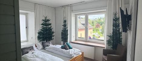 Habitación con 2 camas individuales, vistas a la montaña | Cortinas opacas, tabla de planchar con plancha, wifi gratis