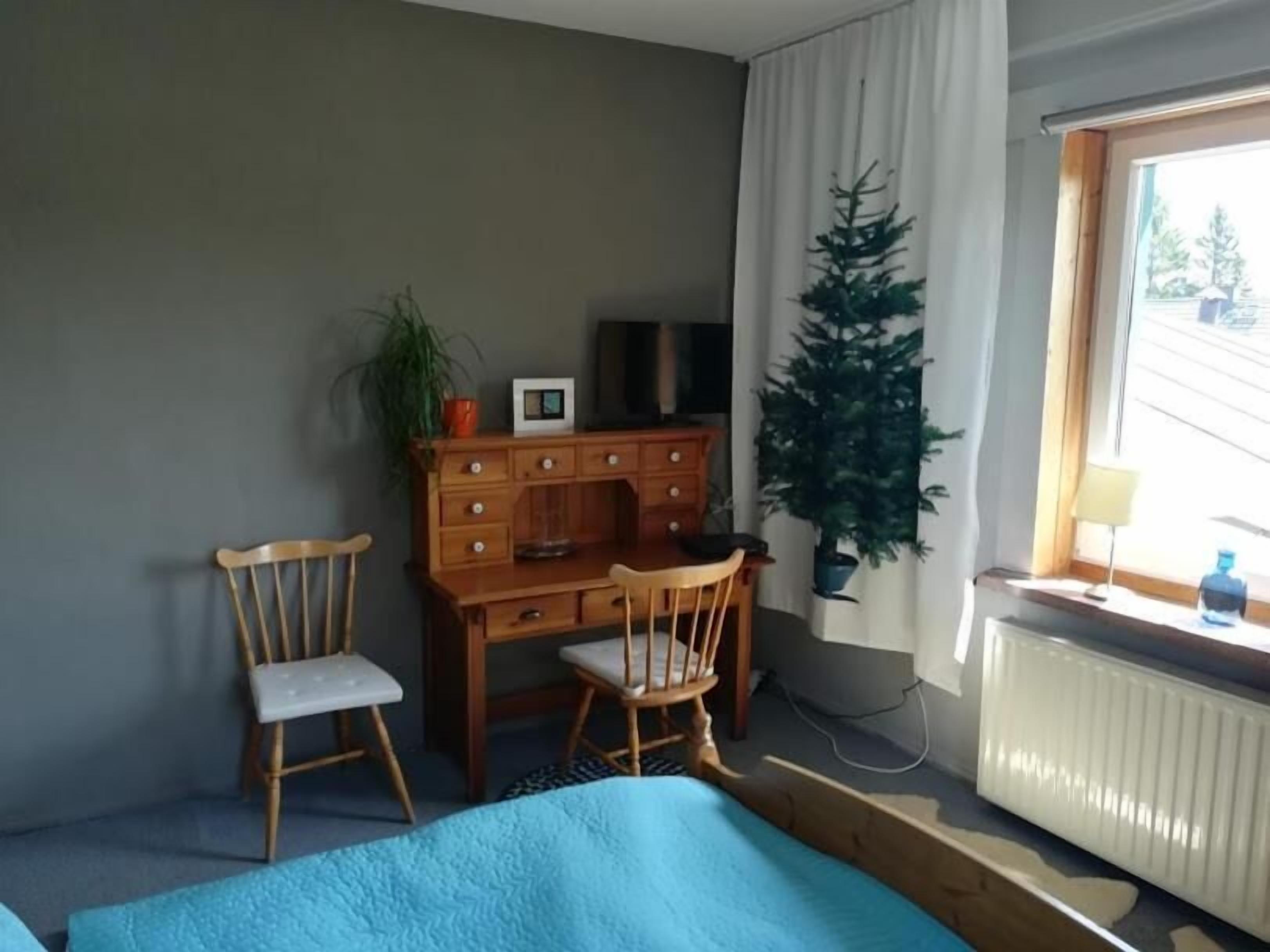 Una habitación con una cama, un escritorio, dos sillas, un radiador, una ventana y una planta en maceta.