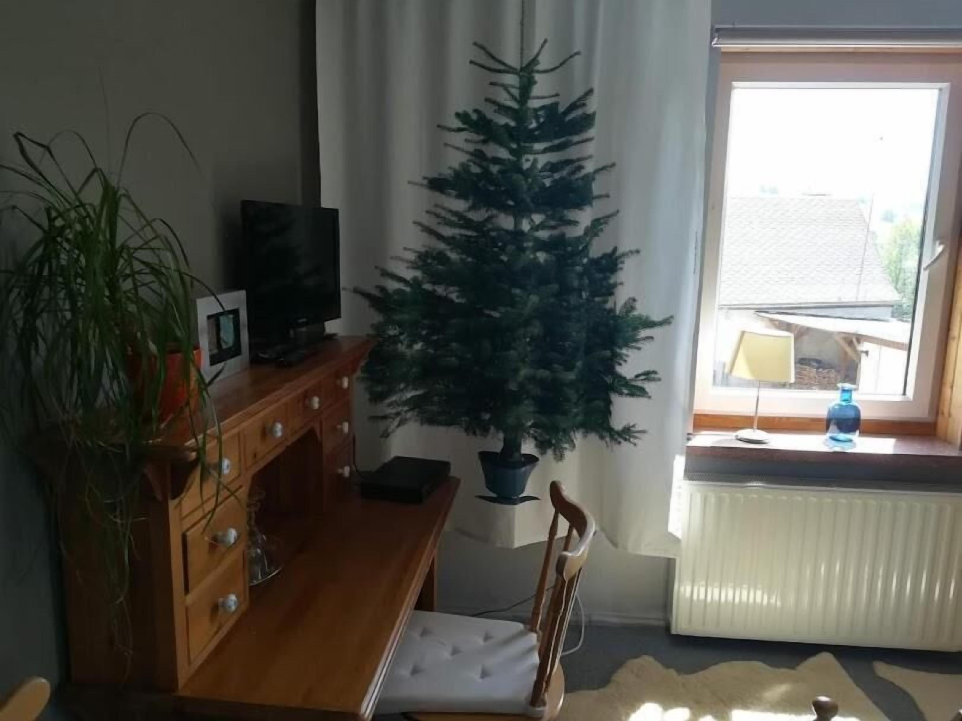 A living room with a wooden cabinet, a television, a potted plant, a Christmas tree, and a window with a view of buildings.