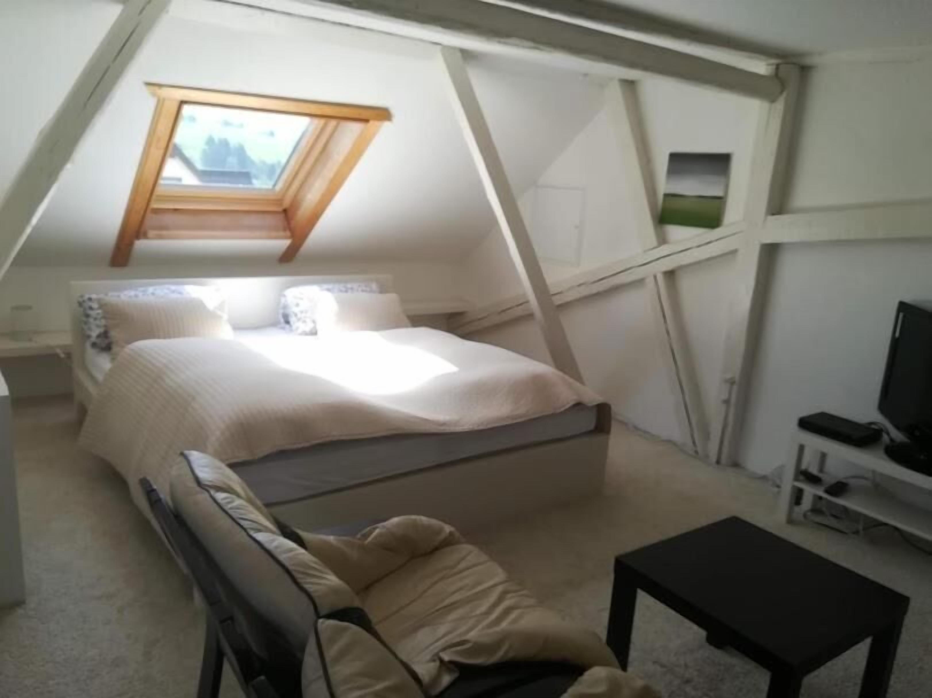 Studio, Bergblick | Verdunkelungsvorhänge, Bügeleisen/Bügelbrett, kostenloses WLAN