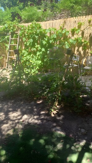 Property grounds - Room in a Local Home (Villes-sur-Auzon)