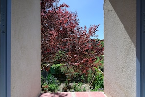 A view through a doorway with a red-leaved tree and a garden.