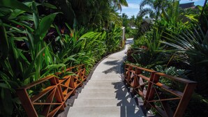 Un sendero de concreto bordeado por barandas de madera y exuberante vegetación tropical.