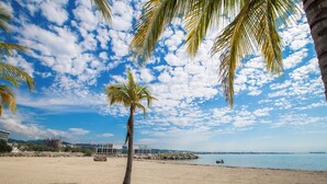 Una playa con una palmera, cielo despejado y mar tranquilo.