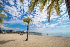 Ein Strand mit einer Palme, blauem Himmel und ruhiger See.