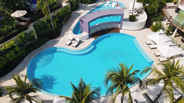 Una piscina grande y curvada rodeada de palmeras y tumbonas.