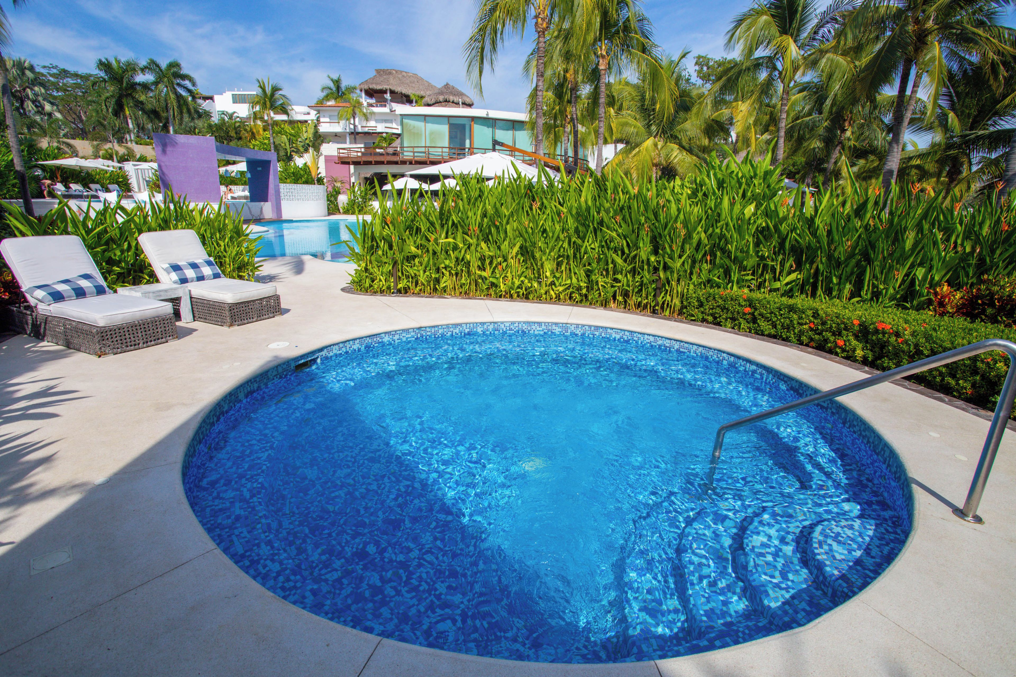A swimming pool with lounge chairs and a palm tree in the background.
