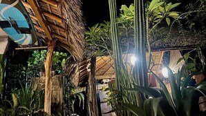 A thatched-roof structure with a blue sign, surrounded by cacti and tropical plants. - Private Room with A/C 400 m from Delfines Beach (Bajos de Chila)
