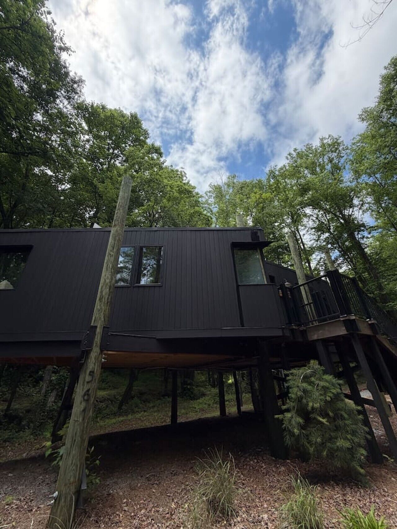 A modern black cabin elevated on stilts in a forest.