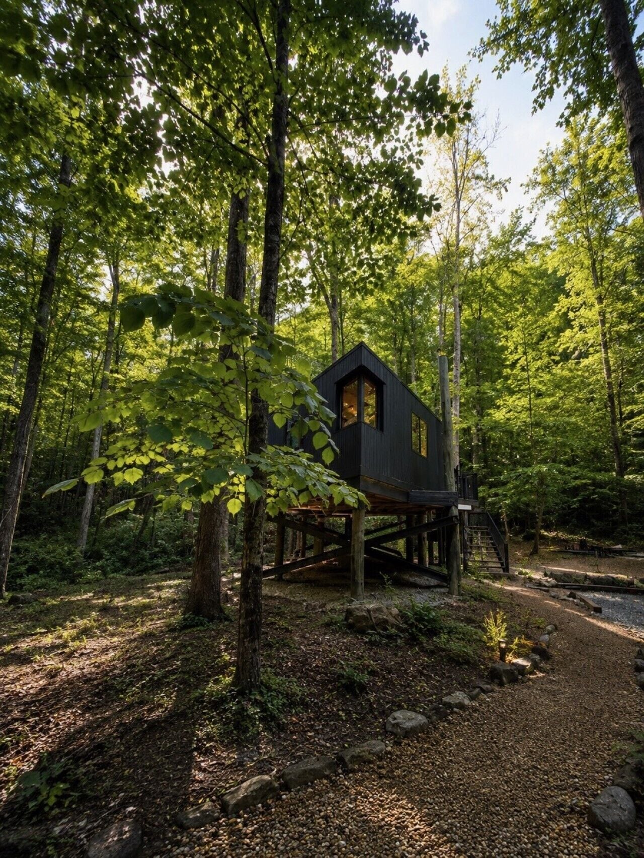 A cabin elevated on stilts in a forested area with a gravel path leading to it.