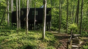 A wooden cabin elevated on stilts in a forest, with a stream and stepping stones leading to it. - Blueghost Treehouse at Cherryfield Luxury Camping (Brevard)