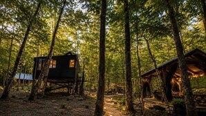 En stuga i en skog med en träterrass och picknickbord.