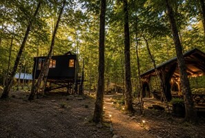 En hytte i en skov med en træterrasse og picnicborde.
