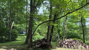 A forested area with a pile of logs and a vehicle in the background.