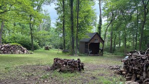 A rustic cabin surrounded by a forest, with a pile of firewood in the foreground.