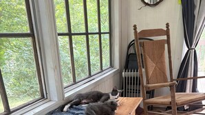 A wooden bench with a blue patterned blanket, a rocking chair, and a view of greenery through large windows.