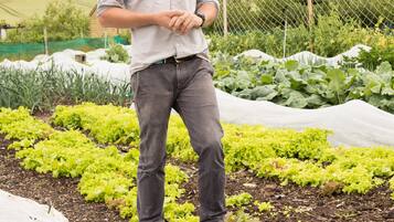 Una persona parada en un jardín con hileras de plantas frondosas, una valla y árboles al fondo.