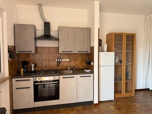 Fridge, oven, stovetop, electric kettle