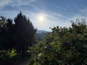 A landscape with a clear sky, trees, and a sun.
