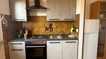 Fridge, oven, stovetop, electric kettle