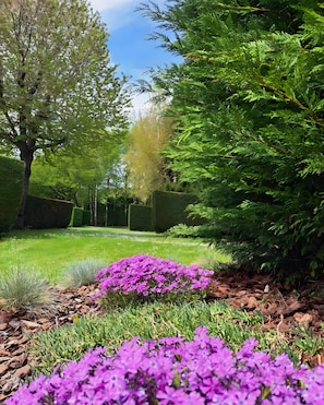 Ein Garten mit ordentlich geschnittenen Hecken, verschiedenen Sträuchern und einer Rasenfläche.
