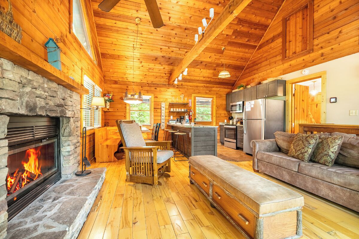 TV, fireplace, video games, DVD player