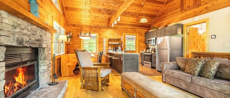 TV, fireplace, video games, DVD player