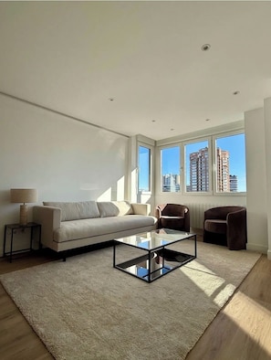 Living area - Comfortable apartment minutes from downtown Madrid (Madrid)