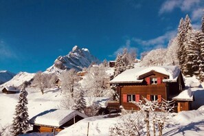 Exterior - Chalet Heidi: pearl in fairytale Braunwald in Switzerland (Glarus Süd)