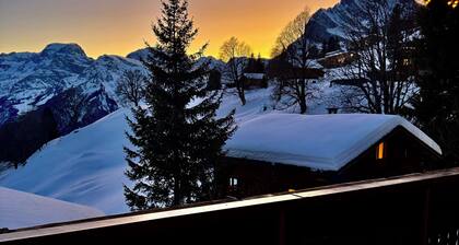 Chalet Heidi: pearl in fairytale Braunwald in Switzerland