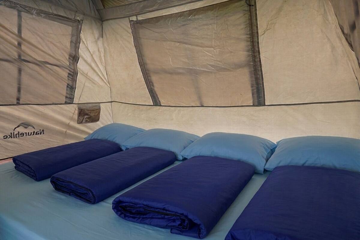 A tent with a sleeping area featuring four beds with blue bedding and pillows.