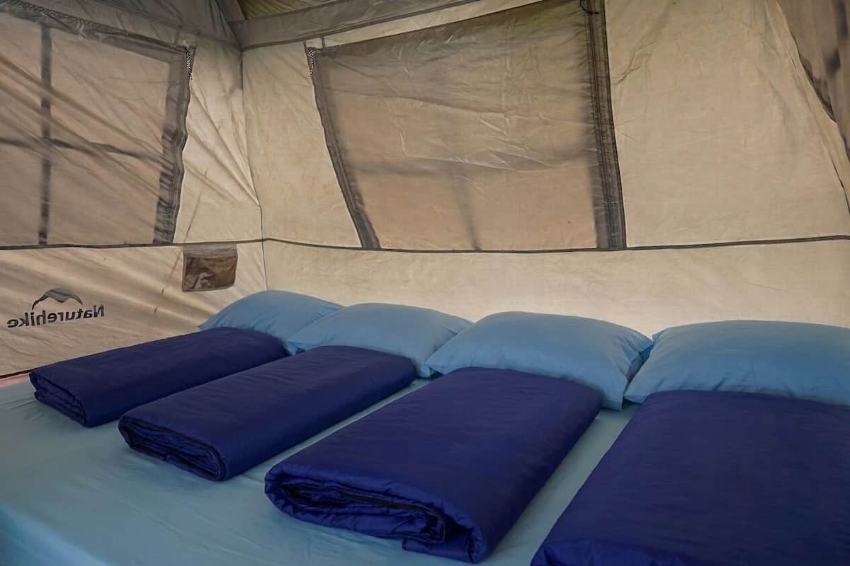 Basic Tent, Mountain View | Blackout drapes, iron/ironing board, free WiFi