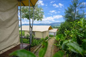 Vista desde la habitación
