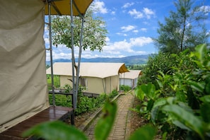 Ein Campingplatz mit Zelten, einem gepflasterten Weg und Blick auf ferne Berge.