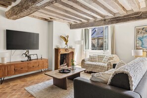 TV, fireplace - Authentic and Large 1 bdr Flat - Facing Notre Dame (Paris)