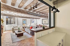 TV, fireplace - Authentic and Large 1 bdr Flat - Facing Notre Dame (Paris)