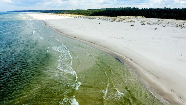 Ein Strand mit klarem Wasser, sandigem Ufer und bewaldeter Landschaft im Hintergrund.