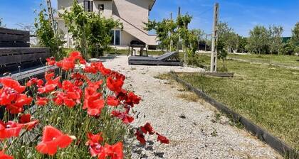 PP13 - Potenza Picena, bright three-room apartment with pool and air conditioning.