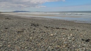 Una playa pedregosa con montañas lejanas y un cielo nublado.